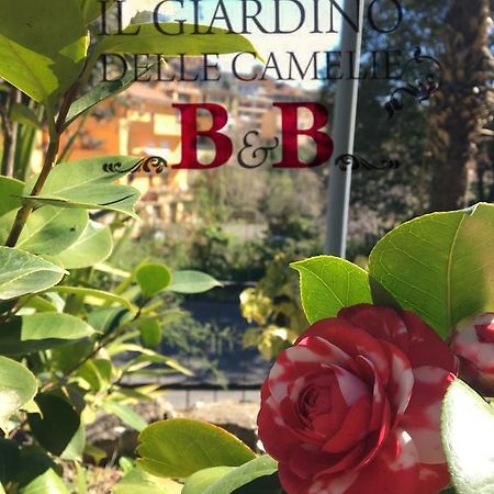 B&B Il Giardino Delle Camelie Palestrina Dış mekan fotoğraf
