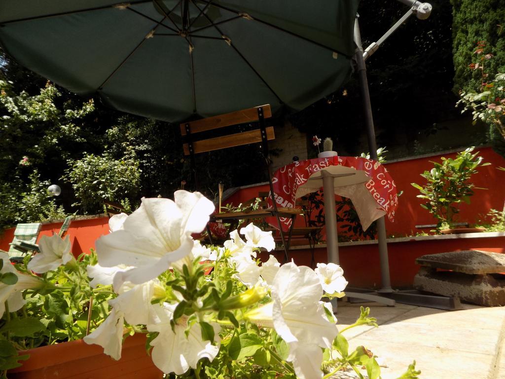B&B Il Giardino Delle Camelie Palestrina Dış mekan fotoğraf