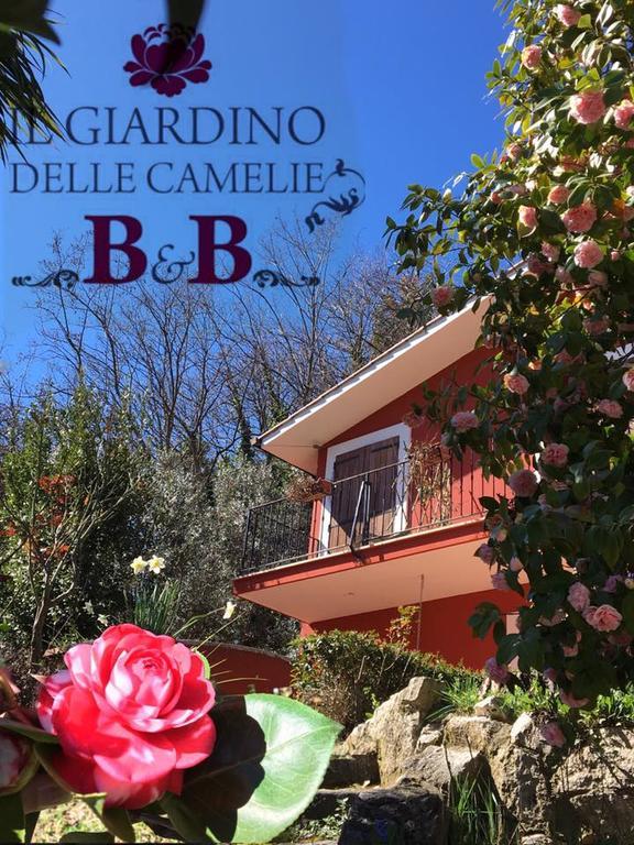 B&B Il Giardino Delle Camelie Palestrina Dış mekan fotoğraf