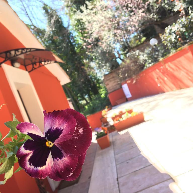 B&B Il Giardino Delle Camelie Palestrina Dış mekan fotoğraf