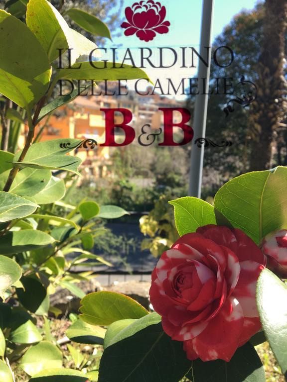 B&B Il Giardino Delle Camelie Palestrina Dış mekan fotoğraf