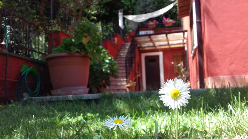 B&B Il Giardino Delle Camelie Palestrina Dış mekan fotoğraf