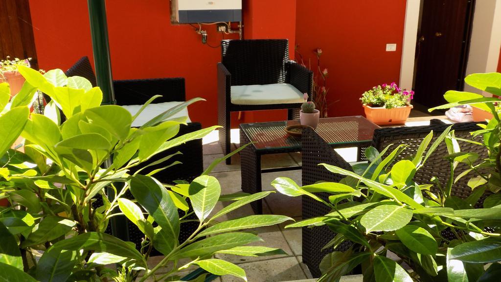 B&B Il Giardino Delle Camelie Palestrina Dış mekan fotoğraf