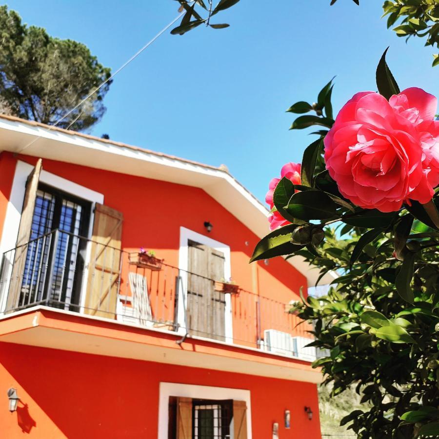 B&B Il Giardino Delle Camelie Palestrina Dış mekan fotoğraf